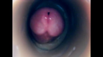 thumb internal camera  fuck in pussy big pulsating c big pulsating c big pulsating cu