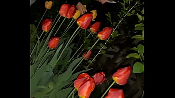 thumb first i invited  my neighbor to admire the flo  admire the flo admire the flowe