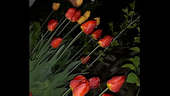 thumb first i invited  my neighbor to admire the flo  admire the flo admire the flowe