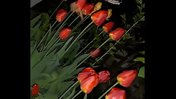 thumb first i invited  my neighbor to admire the flo  admire the flo admire the flowe