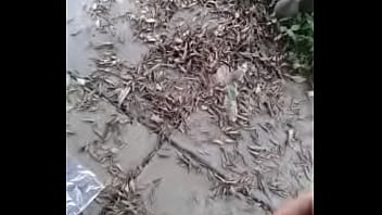 Chava Avec Le Cul Riche À L'arrêt