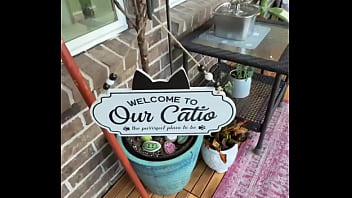 Happy international cat day from my cats to yours