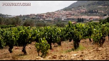 Alcaldelsa.A.Mayoral.Affair CD1 01