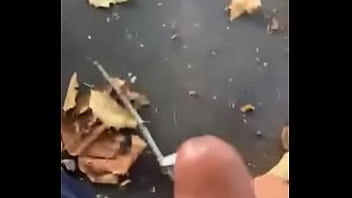 Ejaculation En Public À Côté D'un Couguar Mexicain