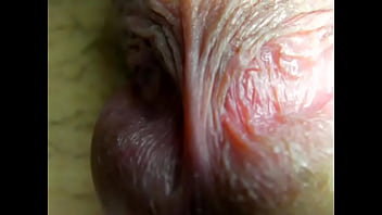 Penis