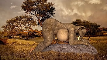 Éléphant Futa A Des Relations Sexuelles Avec Un Guépard