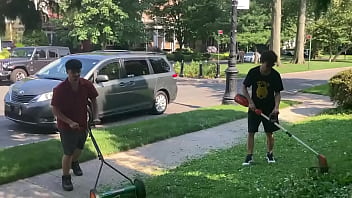 Twinks Whacking Mowing and Plowing