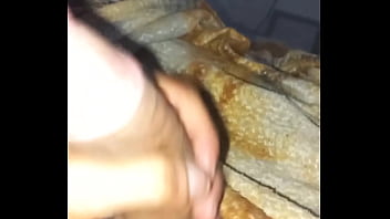 pica, cachorro, sem vergonha, pirocudo