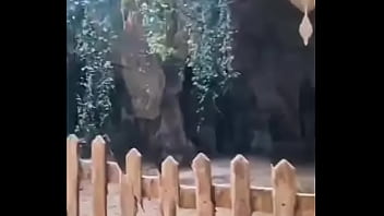 En vacances petite rando ... Je pense que certain ce sont rincé...