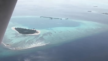 Vidéo De Vérification