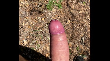 Cum Forest