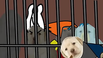 ZEUS (PARODIA) | VERSIÓN PERRITOS