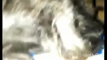 Sterlingmbshow - update #11 - VID-20241206-WA0002 - Feb 02, 2025