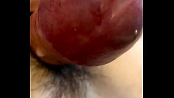 thumb u5857u308cu5857  u308cu4e80u982d  d 