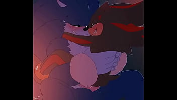 Sonic The Hedgehog porno gay