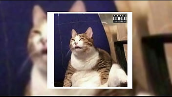Lil Mvrcelin - OK KITTEN