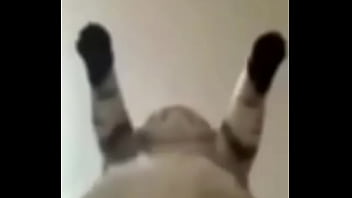 Dexter Suzano Toxic Joel