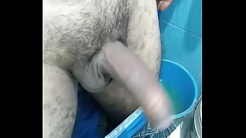 Chacal orinando