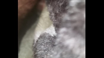 Ramme Meine Taschenmuschi