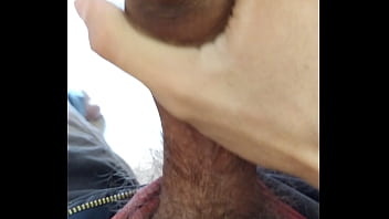Exibindo