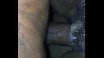 Son De Chatte Comme Du Mac Et Du Fromage