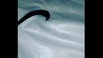 My shorts Nike masturbation