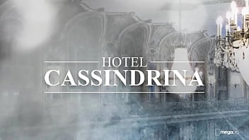 Booktrailer do livro "Hotel Cassindrina"