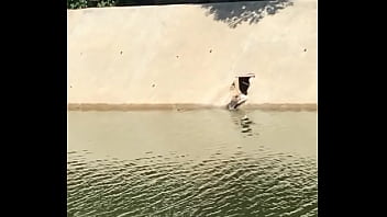 Vidéo De Vérification