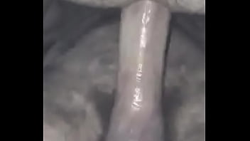 bareback delicioso
