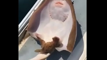 TCHIC TCHIC TCHIC TCHUCU TCHUCU TCHUCU TCHUCU