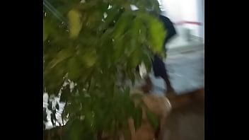 Rockz b. bitch Hulchul