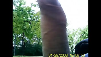 Flash Dick Colegiala 2025