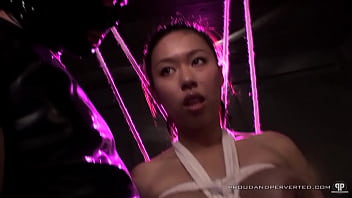 Sebastian Solo - Taming Tigerr