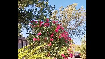 La suite en t&#039_abonnant !