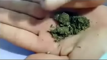 Sexo quente com tartarugas africanas