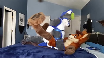 GrungerFor & TelimFolf