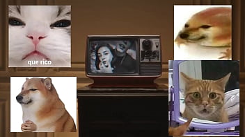 Dick Flash Reaction 2025 | XXXXVideo Dick Flash Reaction 2025 | XXXXVideo