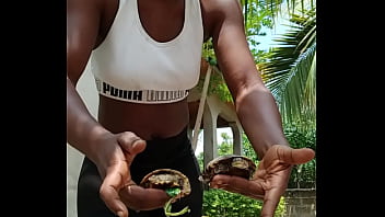 thumb can u believe c  razybitch received tortoise a ived tortoise as ved tortoise as