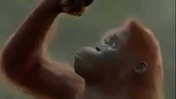 Novo vingadores? entre: https://discord.gg/mxQX2Yxj