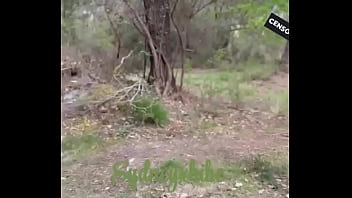 Je cherche des lieux insolites et excitants :Spots rares, maisons ...