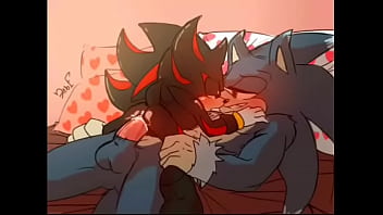 Sonic x Shadow