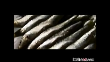 Metro de Gerona, pa los freaks de HHdirecto. Fuck Moderadores