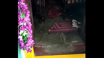 Tante Mature Tamil Aux Gros Seins Sexy Verte Simple