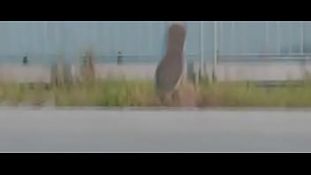 Hihigh MV - LOONA