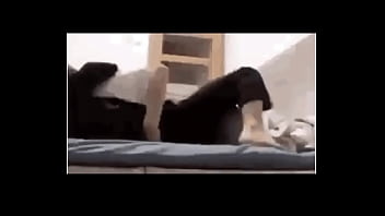验证视频