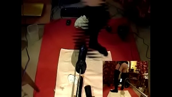 動画