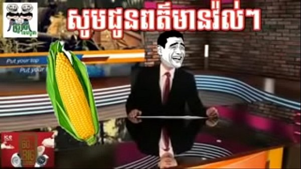 動画