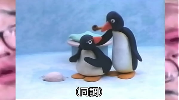 動画