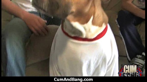 Ebony Hottie Gangbang And Facefuck 12 Thumbnail