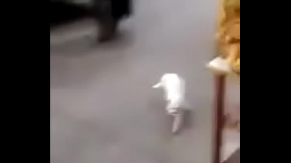 Vídeo